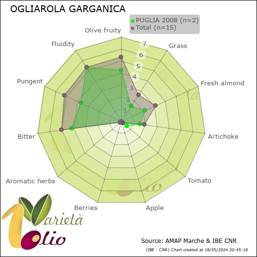 Profilo sensoriale medio della cultivar  PUGLIA 2008